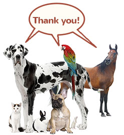 A group of pets and a horse say thank you w247h270px