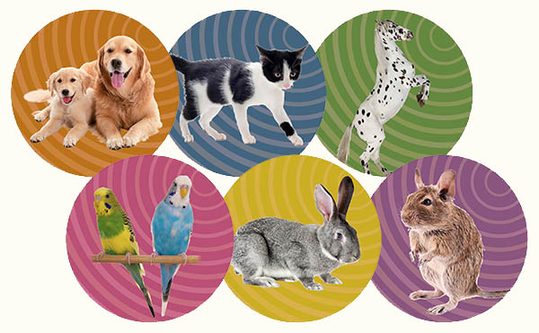 Six circle images with pets and a horse