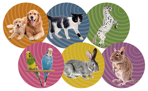 six circular images of pets and a horse set 3 600px