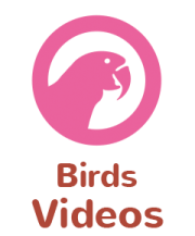 WeStopFear for Pet Birds introduction videos icon