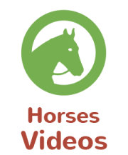WeStopFear for Horses introduction videos icon