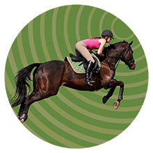 WeStopFear for horses circular image 220px