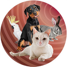 WeStopFear for various types of pets circular image 220px