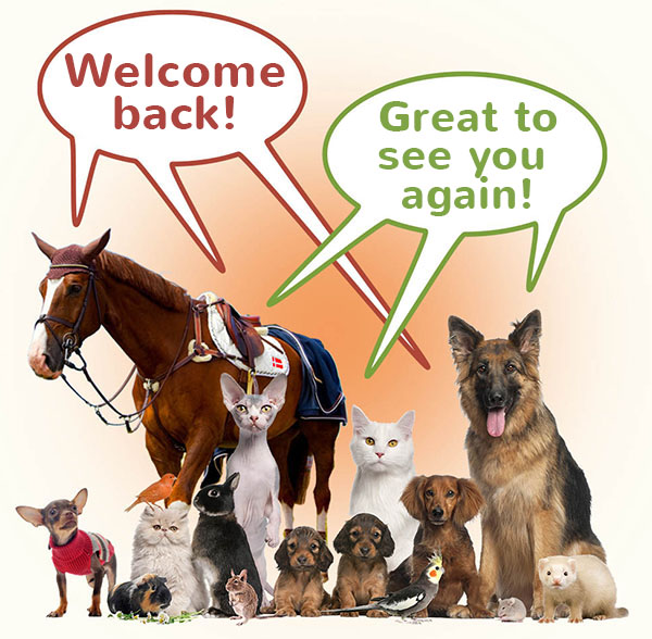 group of pets and a horse say welcome back