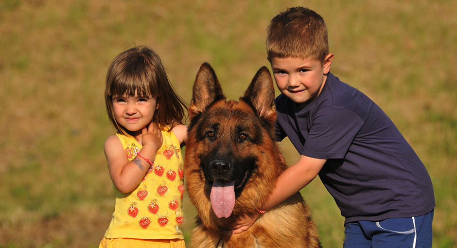 preventfear-dogs-children-gsd-11082511-940x510px