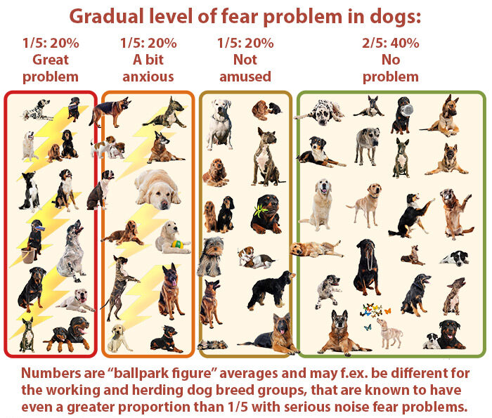Percentage of dogs with problems because of fear of noises