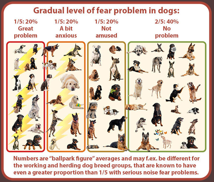 Proportion of dogs with noise fear problems
