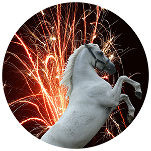 Prancing white horse with fireworks in the background