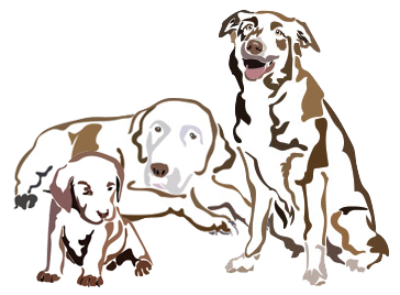 Three dogs puppy full grown senior