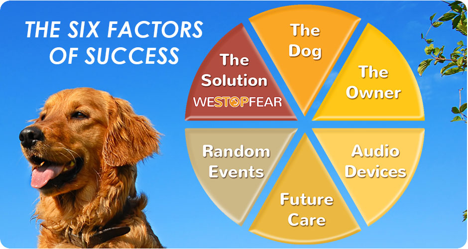 WeStopFear Six factors of success - dogs