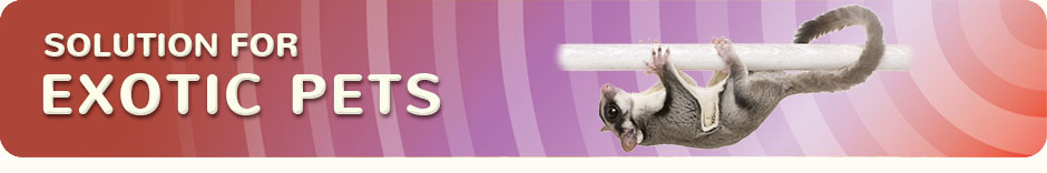 WeStopFear solution for exotic pets top banner