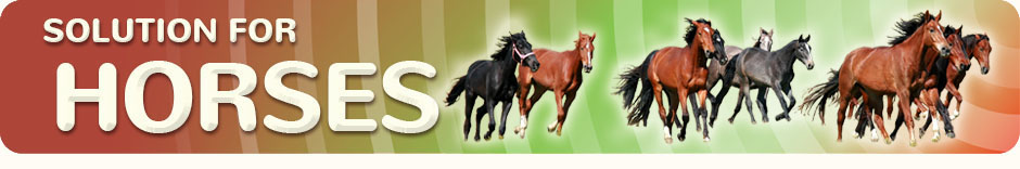 WeStopFear Solution for Horses top banner
