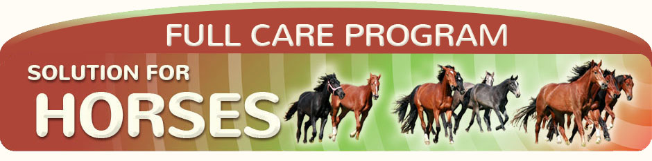 WeStopFear Solution for Horses Full Care program top banner