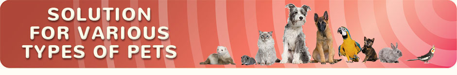 WeStopFear for various types of pets banner