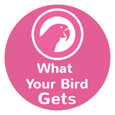 What your bird gets icon
