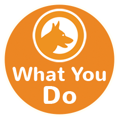 What you do dogs icon