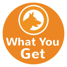 What you get dogs icon