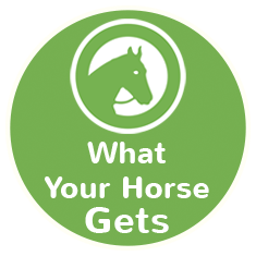What your horse gets icon