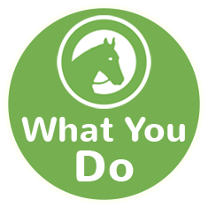 What you do horses icon