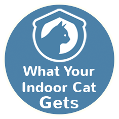 What your indoor cat gets icon