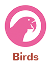 WeStopFear Birds links icon