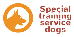 Special training service dogs icon