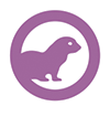 WeStopFear Exotic Pets links icon