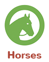 WeStopFear Horses links icon