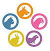 WeStopFear solution for various types of pets icon